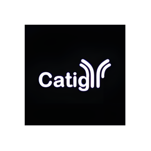 Catigy brand logo for catigy.com