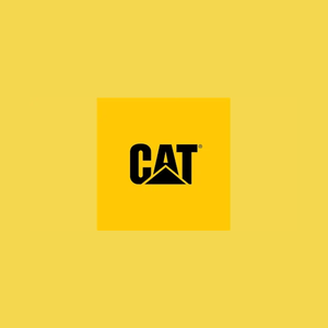 catlights brand logo for catlights.com