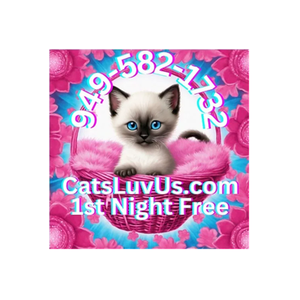 Cats Luv Us brand logo for catsluvus.com