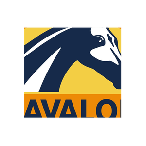 Cavalor brand logo for cavalor.com