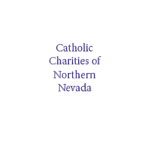 CCSNN brand logo for ccsnn.org