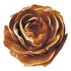 Cedar Rose Grove brand logo for cedarrosegrove.com