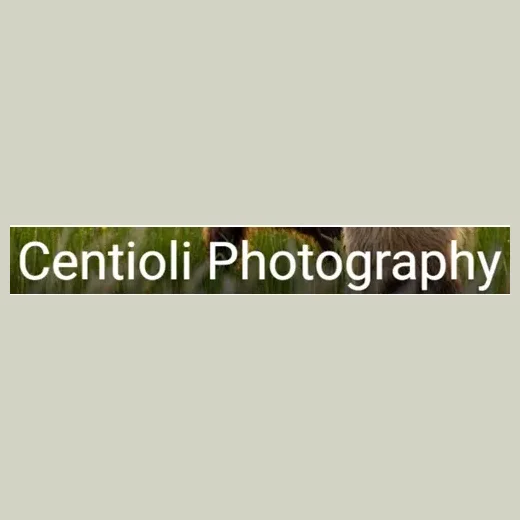 Centiolli Photography brand logo for centioliphotography.com