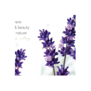 Central Coast Lavender brand logo for centralcoastlavender.com