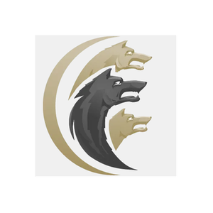 Cerberus FTP Server brand logo for cerberusftp.com