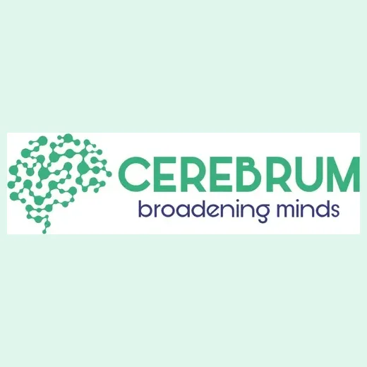 Cerebrum Infotech brand logo for cerebruminfotech.com