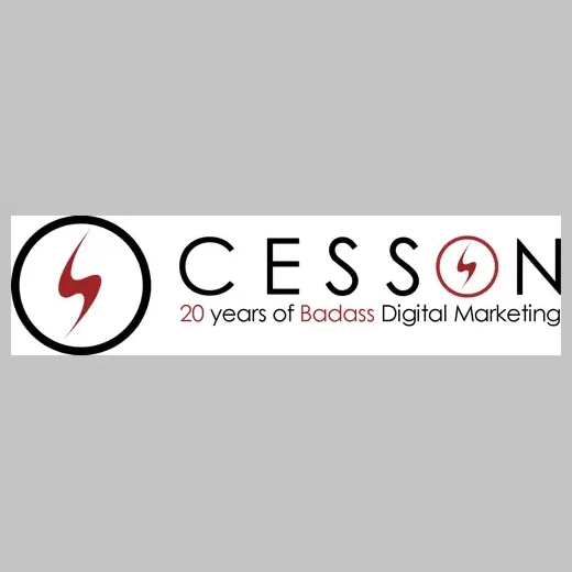 Cesson brand logo for cesson.com