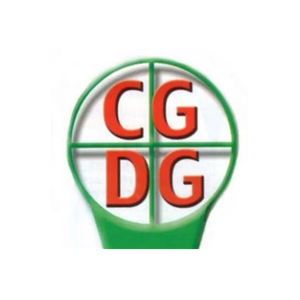 CG Discount Golf brand logo for cgdiscountgolf.co.uk
