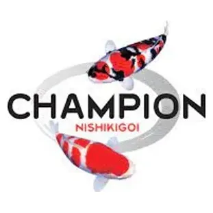 Champ Koi brand logo for champkoi.com