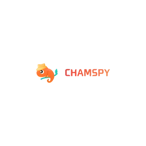 ChamSpy brand logo for chamspy.com