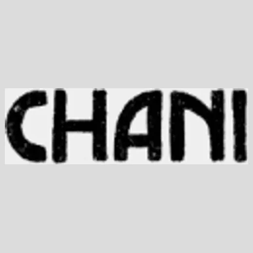 Chani brand logo for chani.com