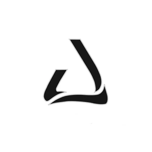 Chase Cricket brand logo for chasecricket.com