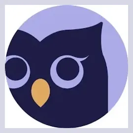 ChatOwl brand logo for chatowl.com