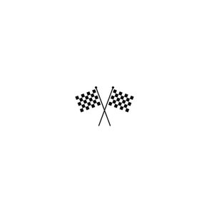 Checkered Flag Store brand logo for checkeredflagstore.com