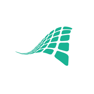 Checkflow brand logo for checkflow.io