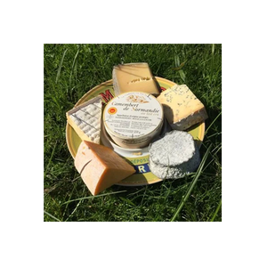 Cheese on the Green brand logo for cheeseonthegreen.com