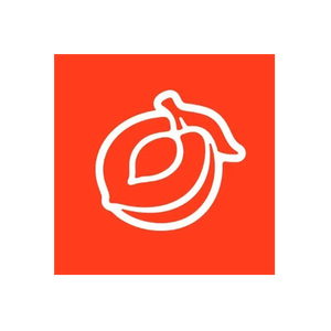 Cheex brand logo for getcheex.com