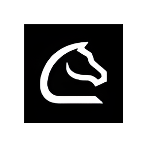 Chessnut brand logo for chessnutech.com