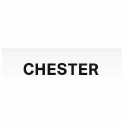 Chester Travels brand logo for chestertravels.com