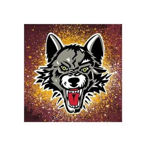 Chicago Wolves Store brand logo for chicagowolvesstore.com