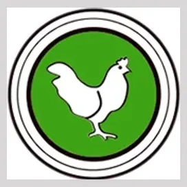chickensofbrum brand logo for chickensofbrum.co.uk