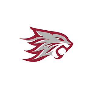 Chico Wildcats brand logo for chicowildcats.com