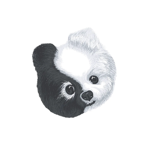 Chidog brand logo for chidog.com