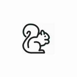 Chipmunk Theme brand logo for chipmunktheme.com