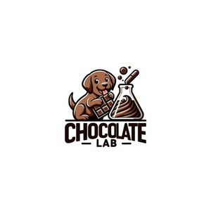 chocolatelabdenver brand logo for chocolatelabdenver.com