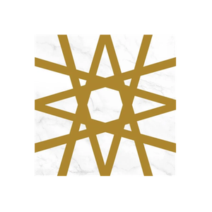 Christina White Salon brand logo for christinawhitesalon.com