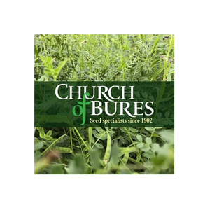 Church of Bures brand logo for churchofbures.co.uk