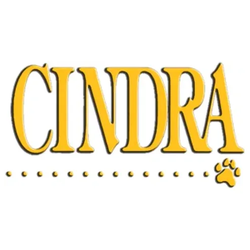 Cindra brand logo for cindra.net