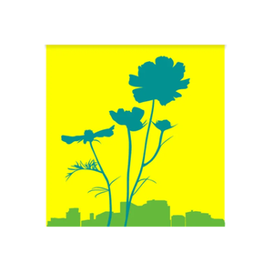 City Blossoms brand logo for cityblossoms.com