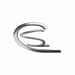 cityswagusa brand logo for cityswagusa.com