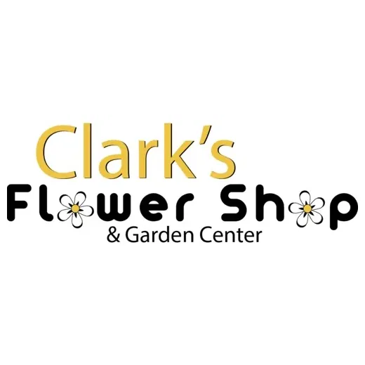 clarks1 brand logo for clarks1.com