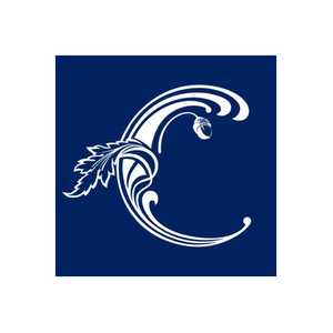 Classic Cabinetry brand logo for classiccabinetry.us
