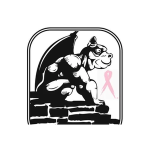 Classics StoneScaping brand logo for classicstonescaping.com