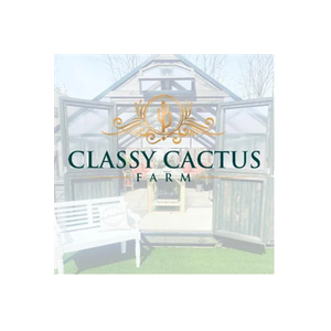 Classy Cactus Farm brand logo for classycactusfarm.com