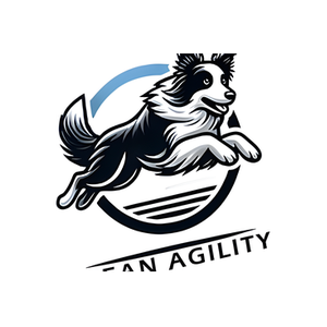 Clean Agility brand logo for clean-agility.com