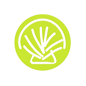 Clear My Head brand logo for clearmyhead.com