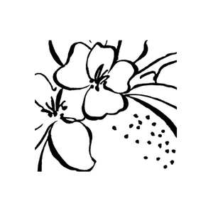 Clementine WP brand logo for clementinewp.com
