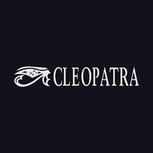 cleorecs brand logo for cleorecs.com
