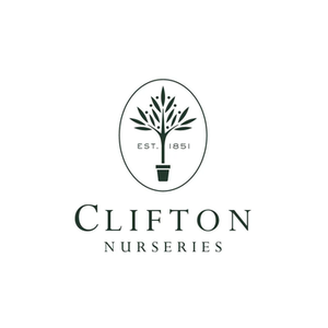 Clifton brand logo for clifton.co.uk