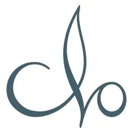 CLO Studio brand logo for clostudio.com
