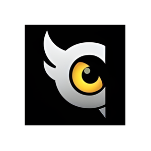 Cloud Owl brand logo for cloudowl.com