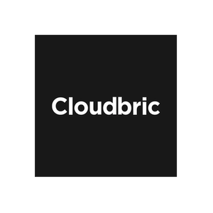 Cloudbric brand logo for cloudbric.com