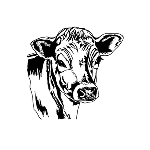 Clover Mountain Dairy brand logo for clovermountaindairy.com