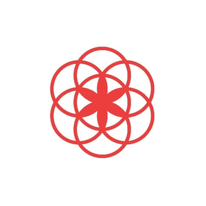 Clue brand logo for helloclue.com