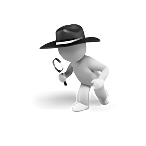 CMS Detector brand logo for cmsdetect.com