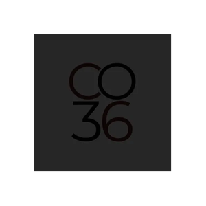 CO.THIRTYSIX brand logo for cothirtysix.com